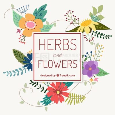 藥草與花卉的奇妙融合 奇石系列AI格式素材賞析